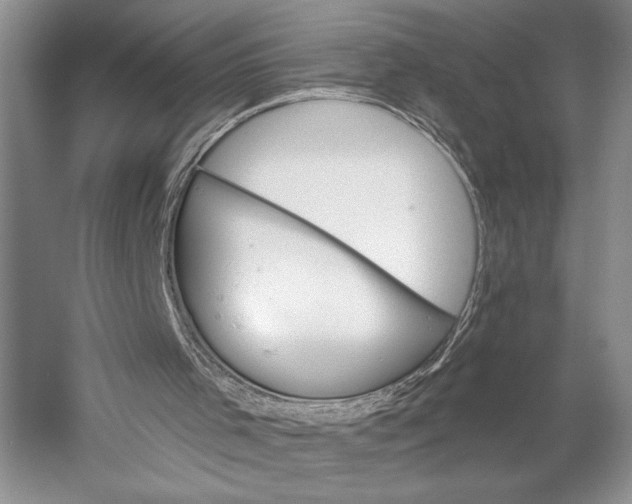 X0000058770001200510171239