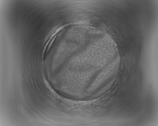 X0000058770002200510171239