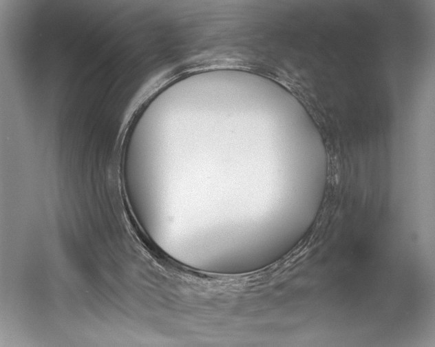 X0000058770004200510171238