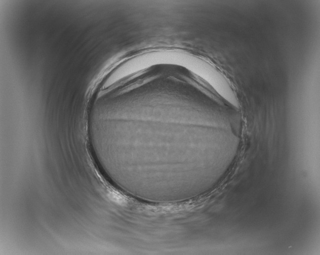 X0000058770005200510171238