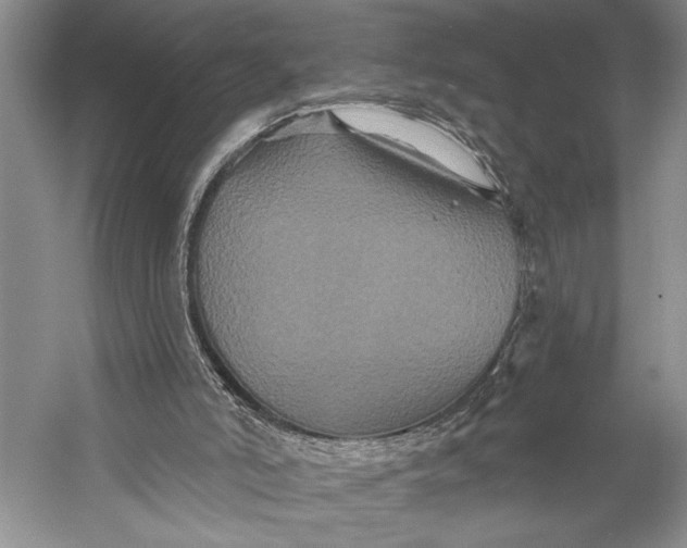 X0000058770006200510171238