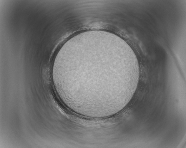X0000058770012200510171238