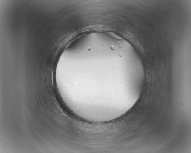 X0000058770014200510171238