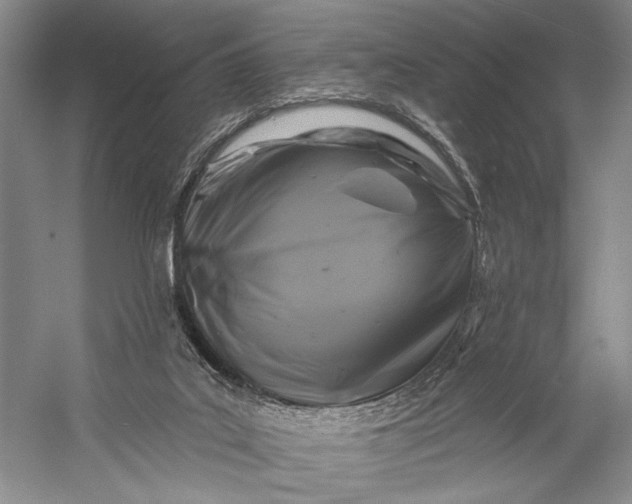 X0000058770019200510171238