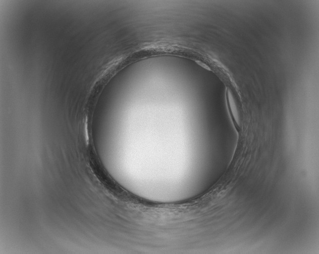X0000058770020200510171238