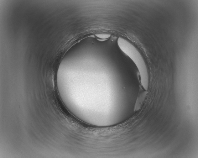 X0000058770021200510171238