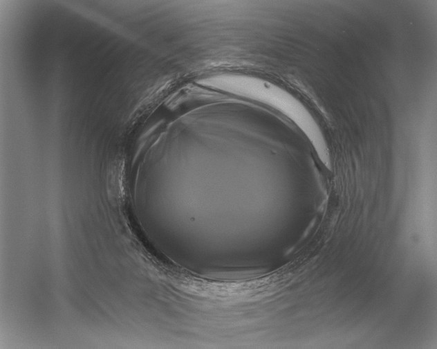 X0000058770023200510171238