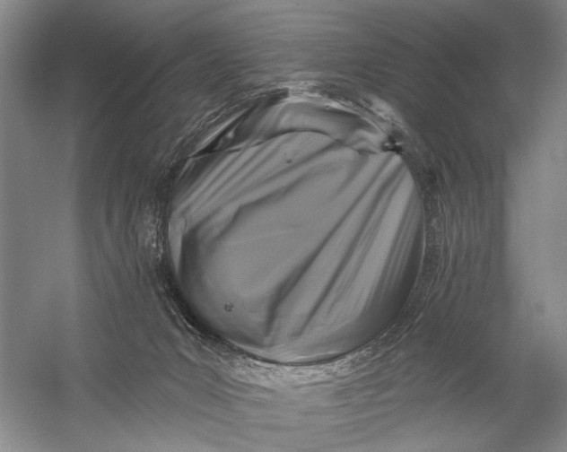 X0000058770031200510171238