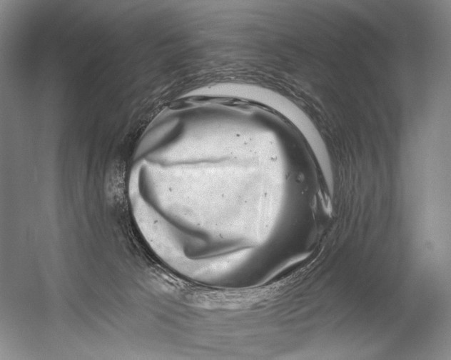 X0000058770033200510171238