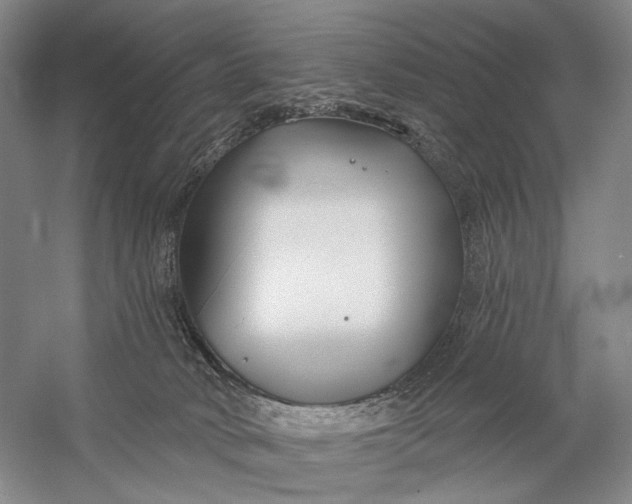 X0000058770034200510171238