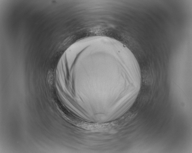 X0000058770036200510171238