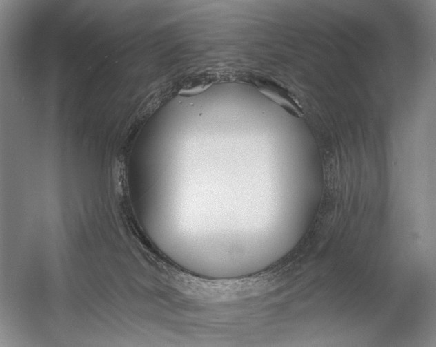 X0000058770038200510171238
