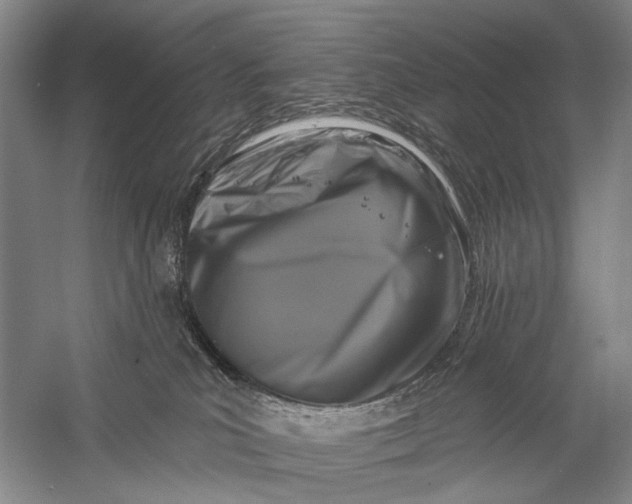 X0000058770039200510171238