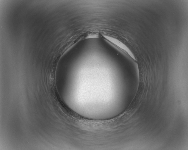 X0000058770040200510171238