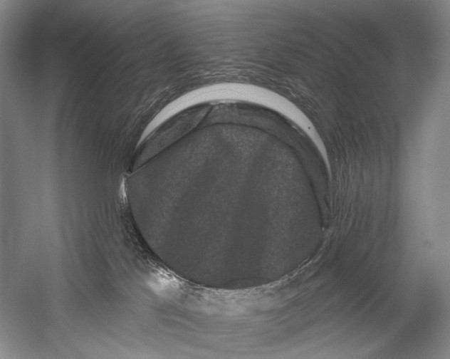X0000058770041200510171238