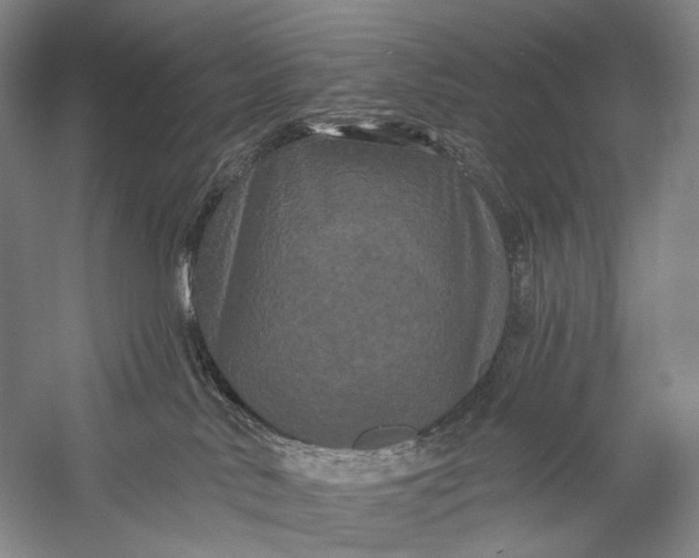 X0000058770042200510171238