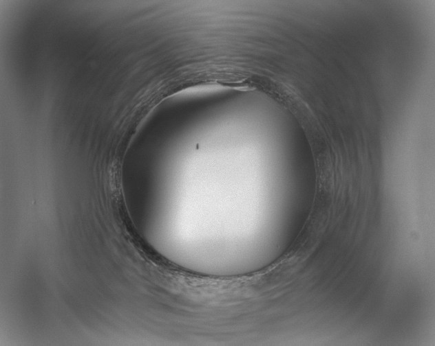 X0000058770044200510171238