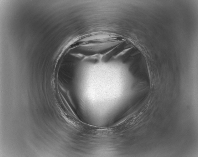 X0000058770050200510171237