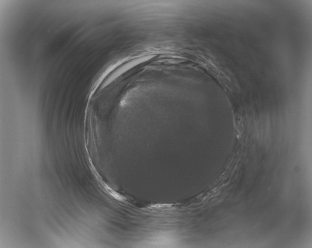 X0000058770052200510171237