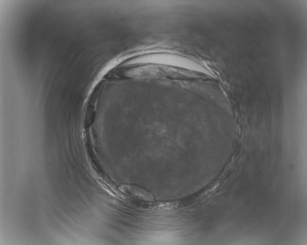 X0000058770056200510171237