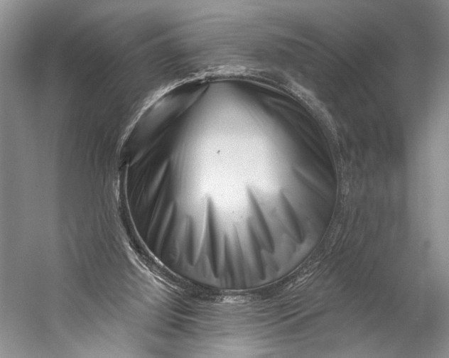 X0000058770060200510171237