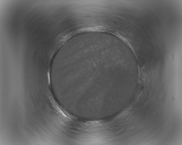 X0000058770061200510171237