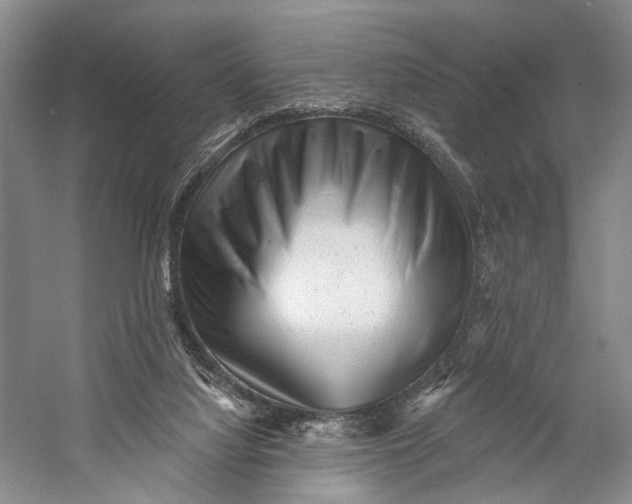 X0000058770068200510171237