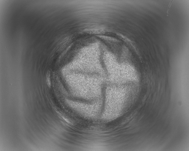 X0000058770069200510171237