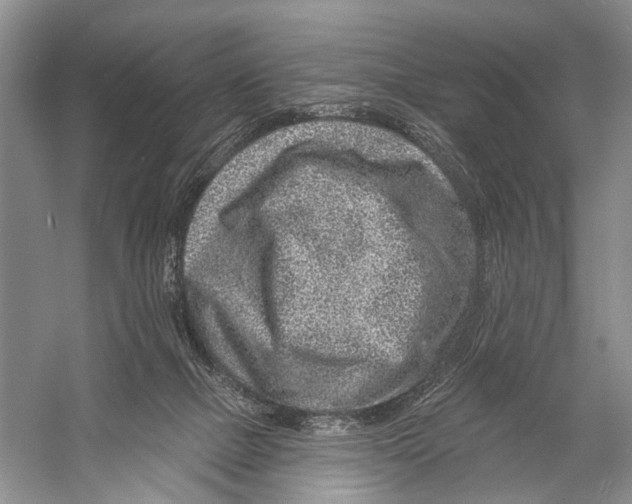 X0000058770073200510171237