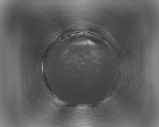 X0000058770076200510171237