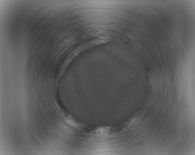 X0000058770080200510171237