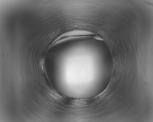 X0000058770094200510171238