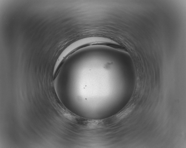 X0000058770096200510171238