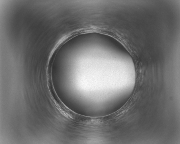 X0000058770102200510171237