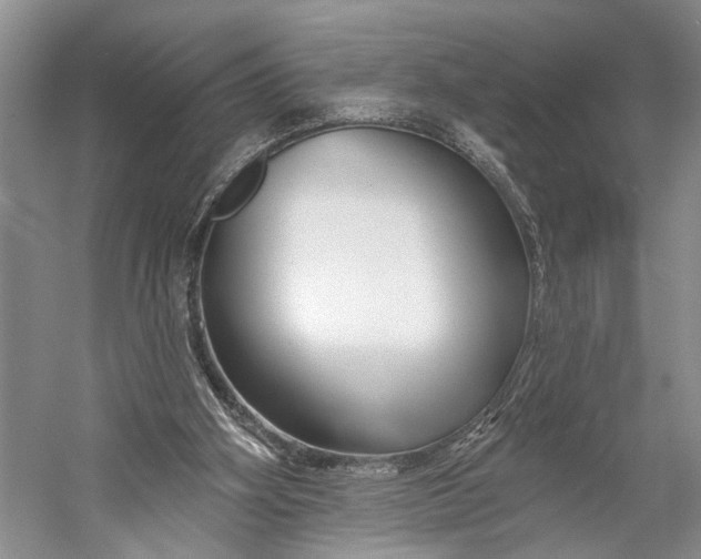 X0000058770106200510171237