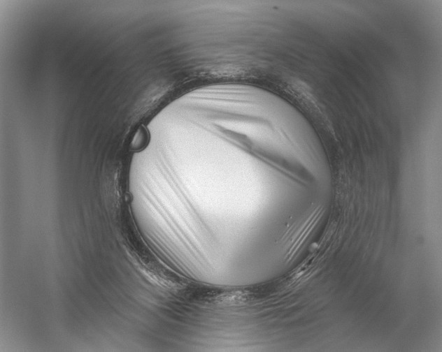 X0000058770116200510171237