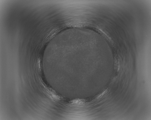 X0000058770117200510171236