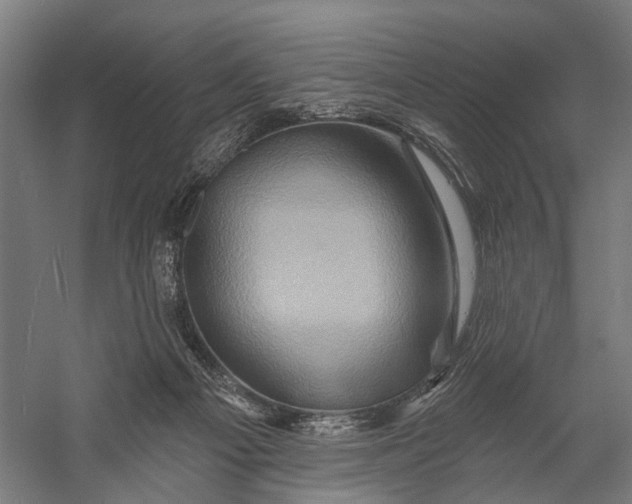 X0000058770121200510171236