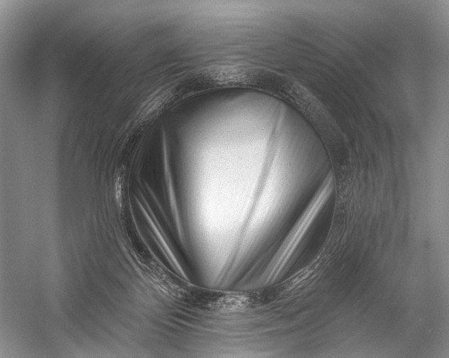 X0000058770124200510171236