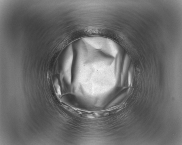 X0000058770125200510171236