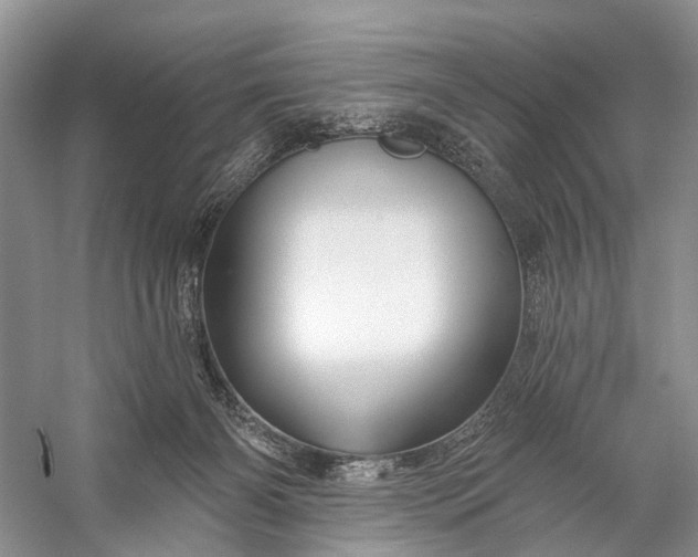 X0000058770126200510171236