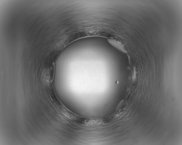 X0000058770129200510171236