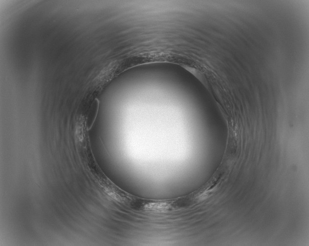 X0000058770133200510171236