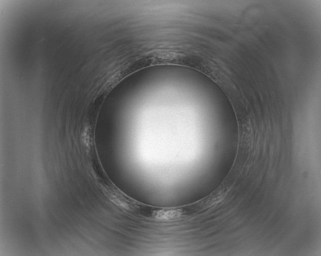 X0000058770135200510171236