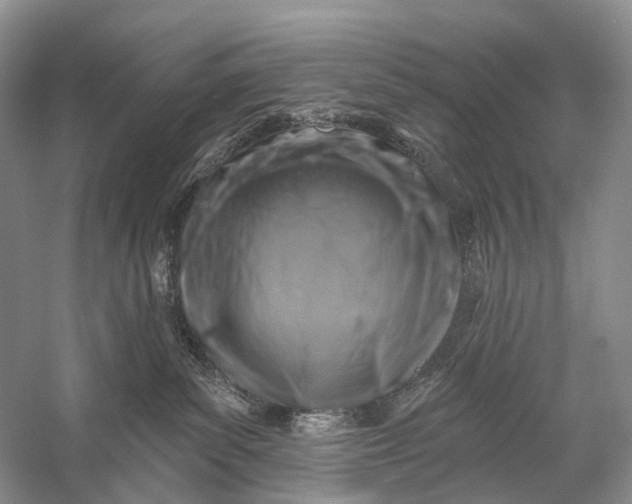 X0000058770139200510171236
