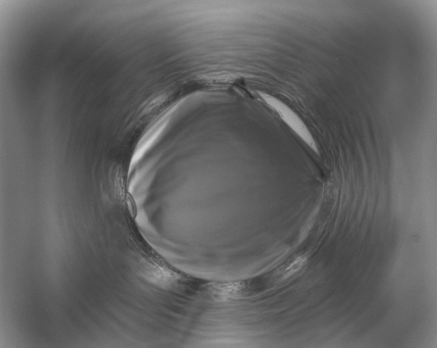 X0000058770143200510171236
