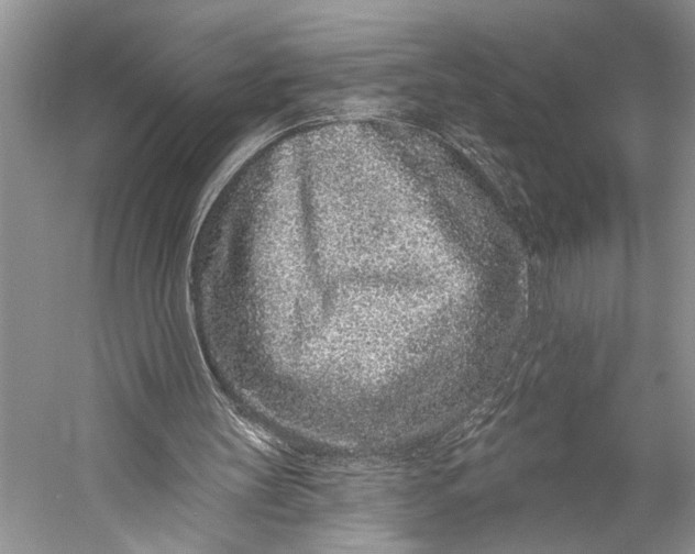 X0000058770147200510171235