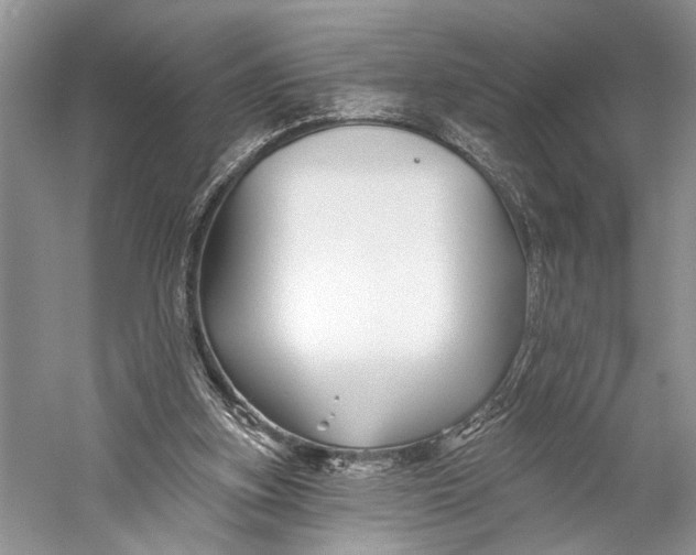 X0000058770155200510171235