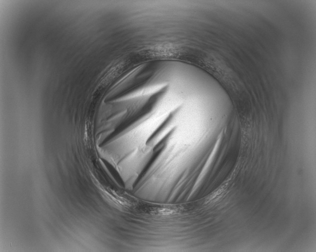 X0000058770166200510171236