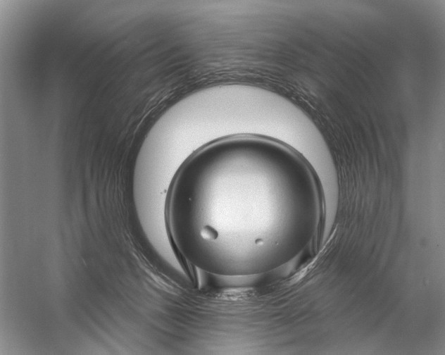 X0000058770175200510171236